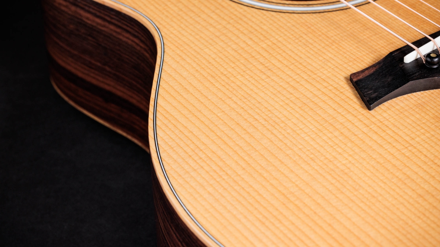 50th Anniversary GS Mini-e Rosewood LTD Indian Rosewood Acoustic-Electric  Guitar | Taylor Guitars